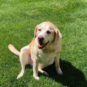 Meet your Posher, Kris